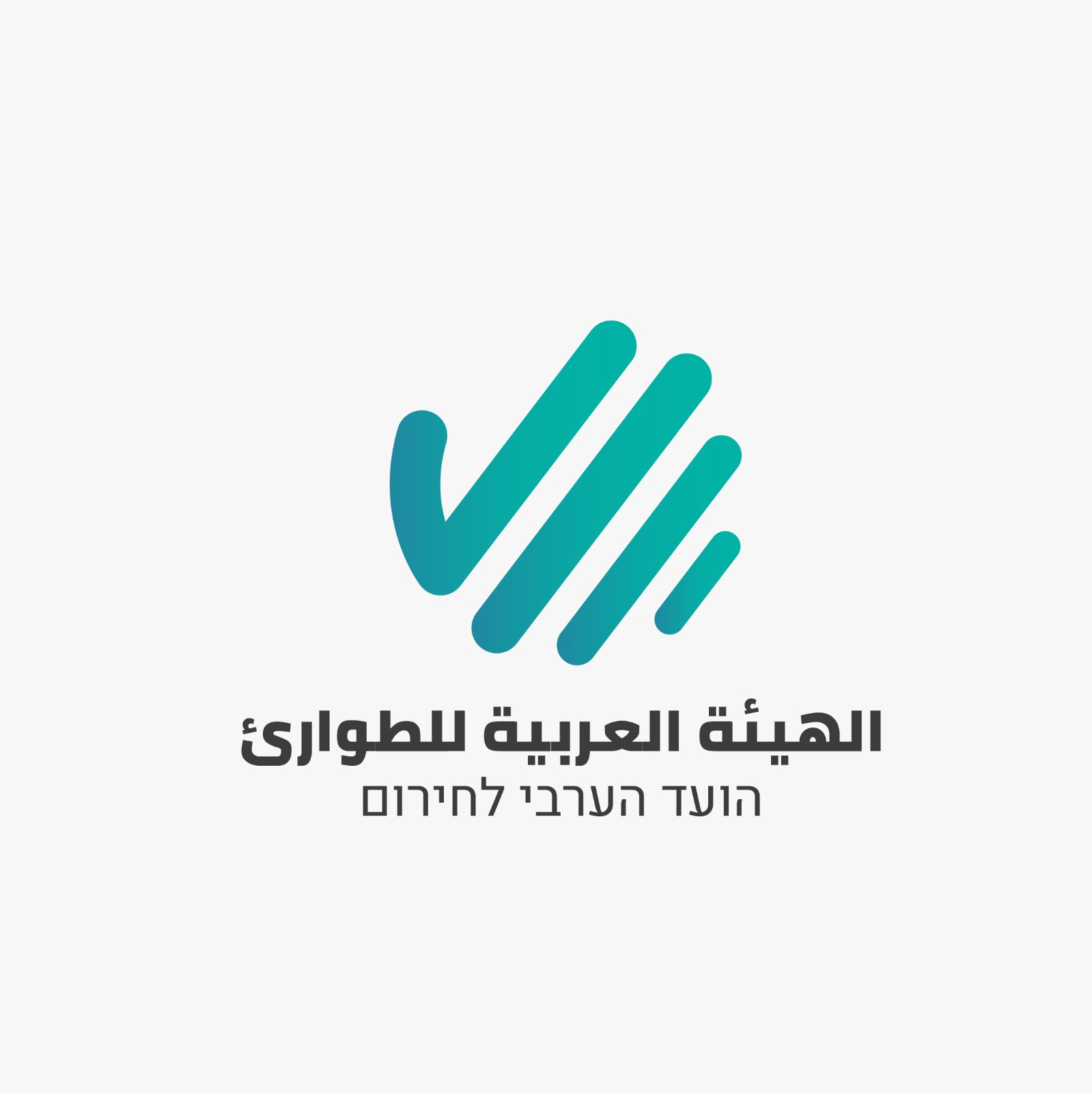 סרטון הדרכה לחברה הערבית